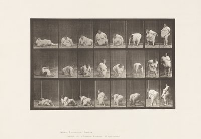 Plate 268. Oppstår fra bakken, 1885 av Eadweard Muybridge