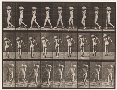 Plate 26. Gående, bærende 75-lb stein på venstre skulder av Eadweard Muybridge