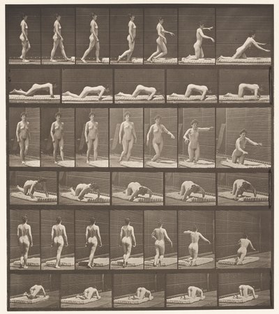 Plate 272. Snubler og faller på bakken av Eadweard Muybridge