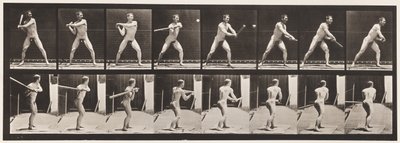 Plate 279.Base-ball; Batting, 1885 av Eadweard Muybridge