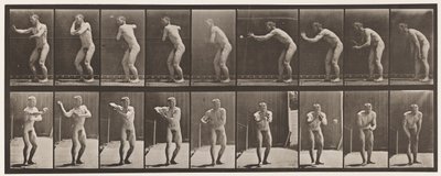 Plate 281. Base-ball; Fangst og kaster av Eadweard Muybridge