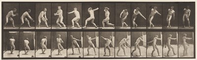 Plate 284.Base-ball; Fang og kast, 1885 av Eadweard Muybridge