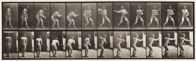 Plate 285. Base-ball; Fangst og kaster av Eadweard Muybridge