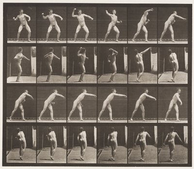 Plate 286. Base-ball; Kaster av Eadweard Muybridge