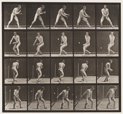 Plate 288. Base-ball; Feil av Eadweard Muybridge