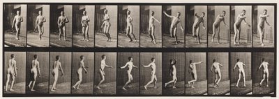 Plate 289.Cricket; Round Arm Bowling, 1885 av Eadweard Muybridge