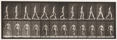 Plate 28. Gående, bærende 50 lb. Dumb-Bell i høyre hånd, 1872-1885 av Eadweard Muybridge