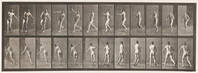 Plate 290.Cricket; Over Arm Bowling, 1885 av Eadweard Muybridge