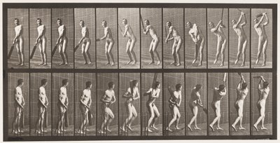 Plate 291.Cricket; Batting; Drive, 1885 av Eadweard Muybridge