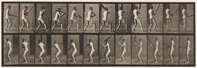 Plate 292.Cricket; Batting; Tilbake ut, 1885 av Eadweard Muybridge
