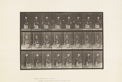 Plate 296. Plentennis av Eadweard Muybridge