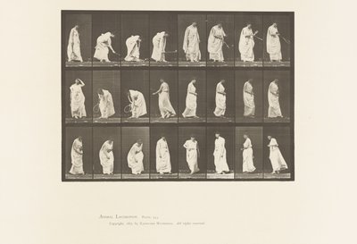 Tallerken 299. Leker med en ball av Eadweard Muybridge