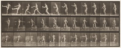 Tallerken 301. Fotball; Punt, 1885 av Eadweard Muybridge