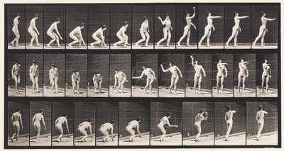 Plate 303. Å plukke opp en ball og kaste den, 1872-1885 av Eadweard Muybridge