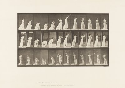 Plate 305. Plukke opp en ball og kaste den, 1885 av Eadweard Muybridge