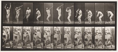 Plate 308. Throwing the Hammer, 1885 av Eadweard Muybridge