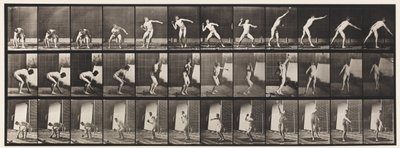 Plate 310. Putting the Shot, 1885 av Eadweard Muybridge