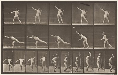 Plate 313. Heaving a 20-lb Rock, 1885 av Eadweard Muybridge