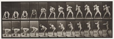 Plate 318. Lifting a 75-lb stein, 1872-1885 av Eadweard Muybridge