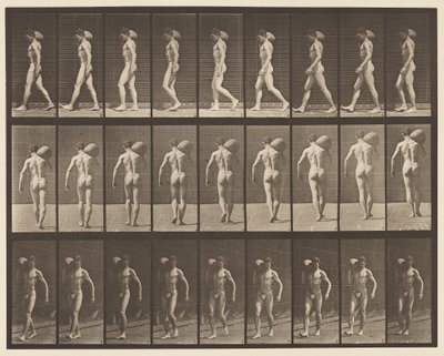Plate 31. Gående, bærende 75-lb stein på høyre skulder av Eadweard Muybridge