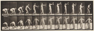 Plate 326. Løfting 50-lb. Dumb-Bell på armlengdes avstand av Eadweard Muybridge