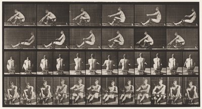 Plate 327. Roing av Eadweard Muybridge