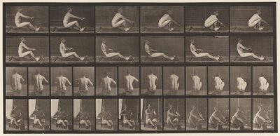 Plate 328. Roing av Eadweard Muybridge