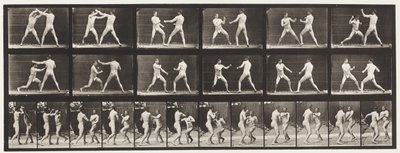 Plate 329. Boksing; (Sko) av Eadweard Muybridge