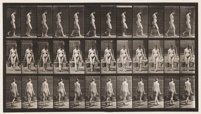 Plate 32. Gående, bære bøtte med vann i hver hånd av Eadweard Muybridge