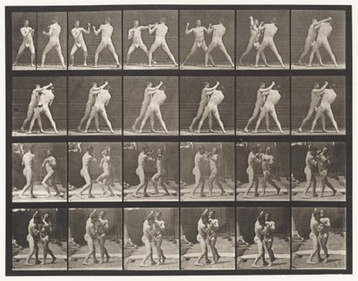 Tallerken 330. Boksing; Cross-counter (sko) av Eadweard Muybridge