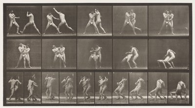Plate 331. Boksing; Stopp for kryssrumper av Eadweard Muybridge