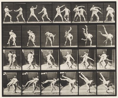 Plate 332. Boksing; Cross-rumper (sko) av Eadweard Muybridge