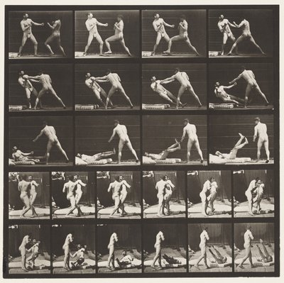 Plate 333. Boksing; 53 Knocking 52 Down (Sko) av Eadweard Muybridge