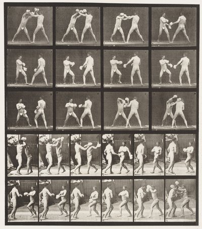 Plate 334. Boksing; Med hansker (sko) av Eadweard Muybridge