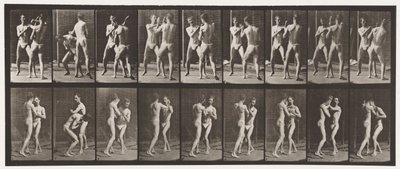 Plate 337. Boksing; Åpen hånd av Eadweard Muybridge