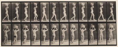 Plate 33. Gående, 14-lb. Kurv på hodet, hender hevet, 1872-1885 av Eadweard Muybridge