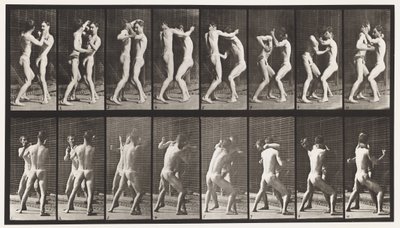 Plate 341. Boksing; Åpen hånd av Eadweard Muybridge