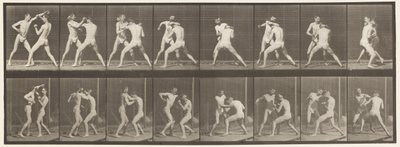 Plate 342. Boksing; Åpen hånd, 1872-1885 av Eadweard Muybridge