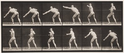 Plate 343. Slå et slag (venstre hånd) av Eadweard Muybridge