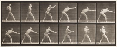 Plate 344. Slå et slag (høyre hånd) av Eadweard Muybridge