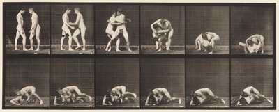 Plate 345. Wrestling, Lock, 1885 av Eadweard Muybridge