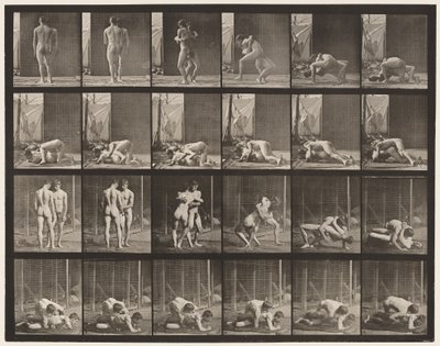 Plate 346. Bryting, Lås av Eadweard Muybridge