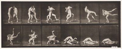Plate 347. Wrestling, gresk-romersk, 1885 av Eadweard Muybridge