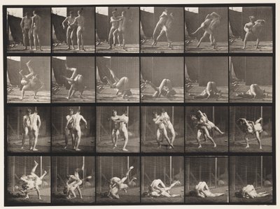 Plate 348. Wrestling, gresk-romersk, 1885 av Eadweard Muybridge