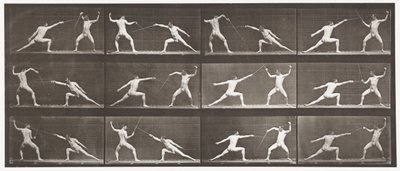 Plate 349. Gjerde, 1872-1885 av Eadweard Muybridge