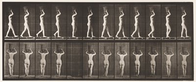 Plate 34. Gående av Eadweard Muybridge