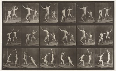Plate 350. Gjerde av Eadweard Muybridge