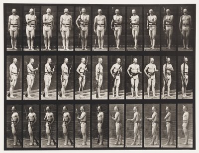 Plate 351. Fix and Unfix bajonetter, 1872-1885 av Eadweard Muybridge