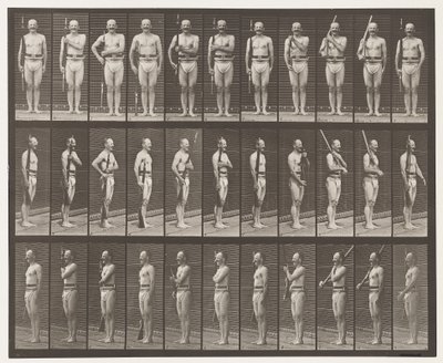 Plate 352. Skulder-, ordens- og bærearmer av Eadweard Muybridge