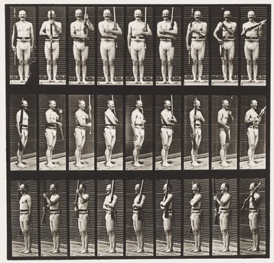 Plate 353. Støttearmer og våpenport, 1872-1885 av Eadweard Muybridge